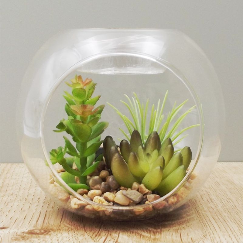 Photophore plante succulente en verre forme boule par Sil