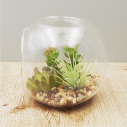 Photophore verre pour chauffe plat vu de côté avec plantes succulentes